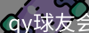 qy球友会